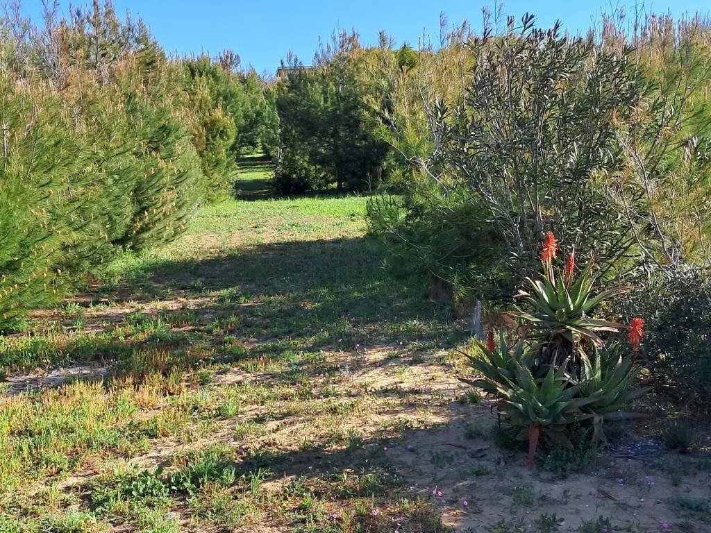 Villa a Pachino in Via Grotticelle S.N.C. - Foto 3