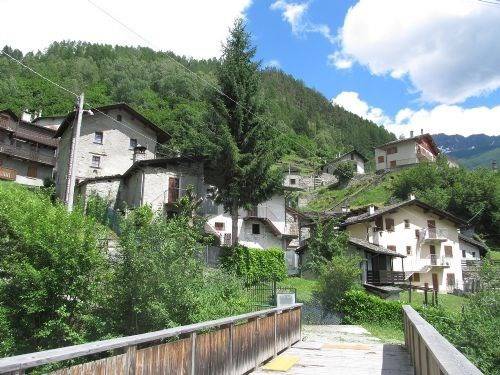Casa indipendente a Chiesa in valmalenco in pedrotti - Foto 3