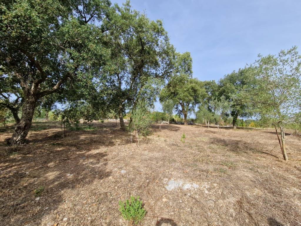 Villa a Itri in Via Appia - Foto 4