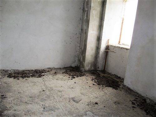 Rustico / casale a Teglio in castelvetro - Foto 5