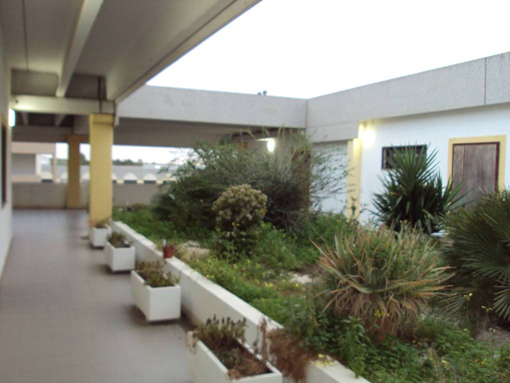 Immobile a Sestu in Località Is Coras - Foto 2