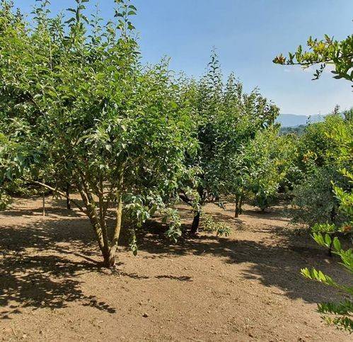 Terreno a Grottolella in Via Dei Caduti - Foto 5