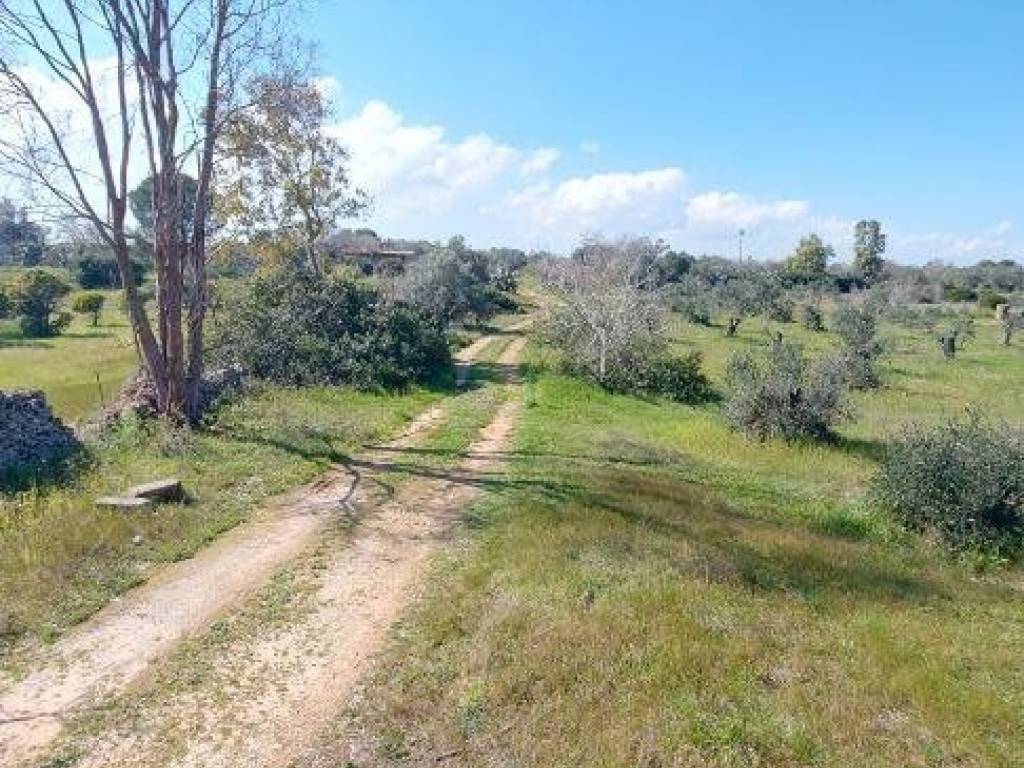 Terreno a Melendugno in Via del Turismo, 2 - Foto 5