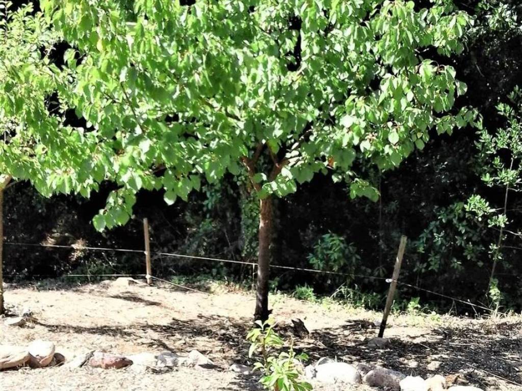 Appartamento a Rio in Cavo S.N.C. - Foto 5