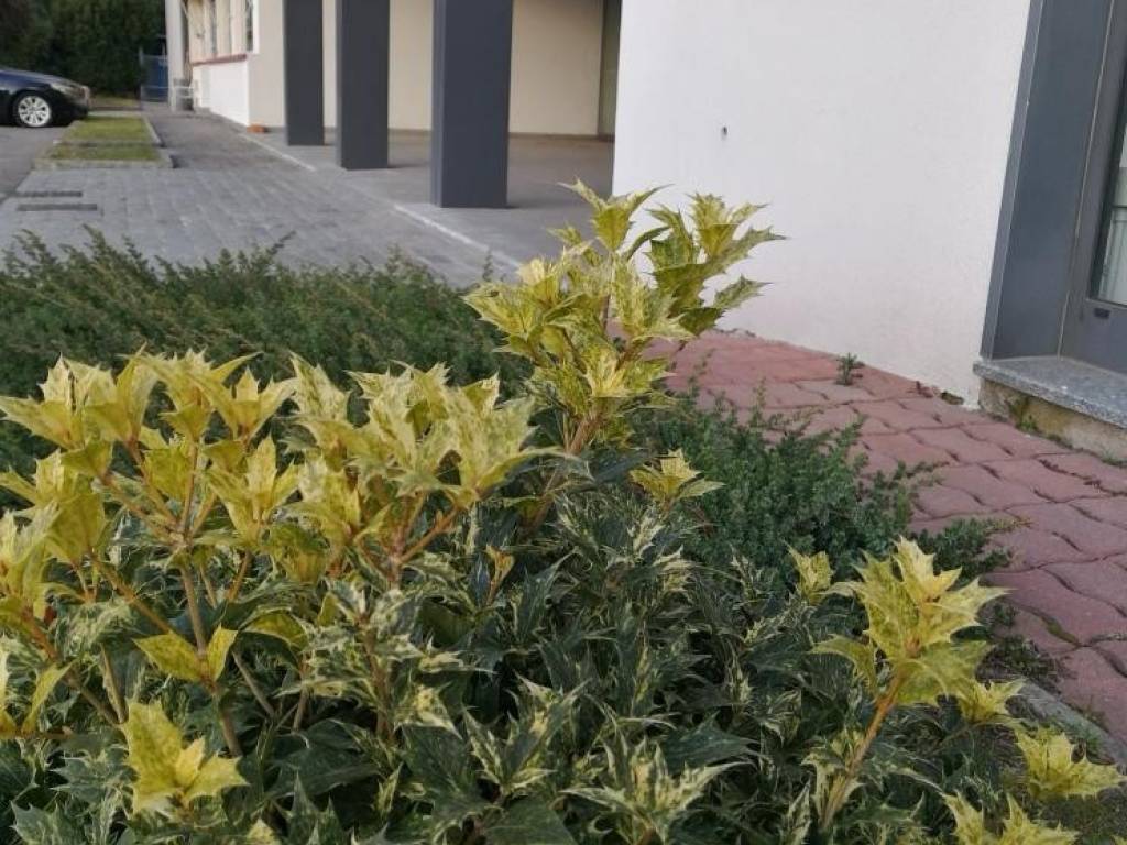 Immobile a Olgiate comasco in Via Boscone - Foto 4