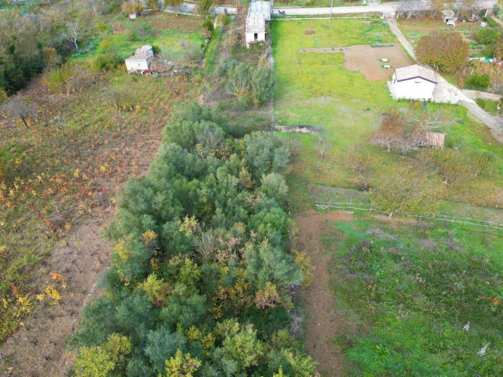 Terreno a Altofonte in Via Rebuttone, 78 - Foto 4