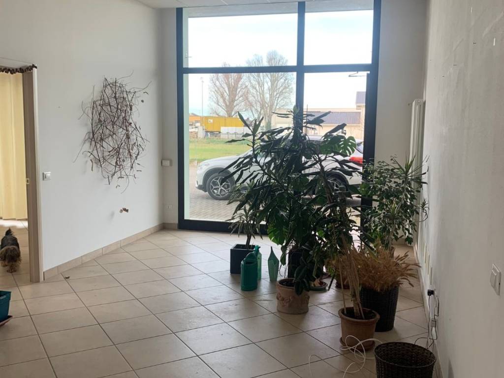 Immobile a Bagnara di romagna in Via 2 Giugno - Foto 4