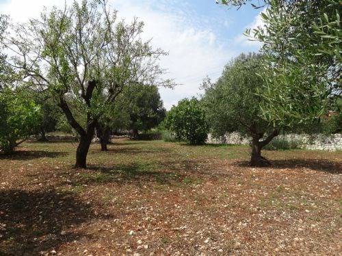 Rustico / casale a Ostuni in Ostuni-Ceglie M.ca - Foto 2