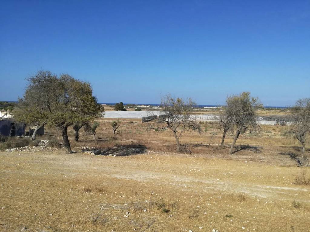 Rustico / casale a Pachino in Contrada Triona S.N.C. - Foto 4
