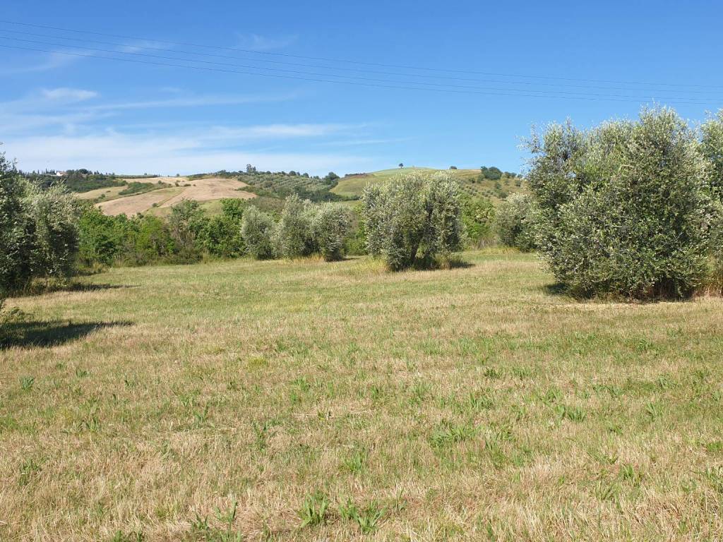 Rustico / casale a Campagnatico in Località Granaione - Foto 5