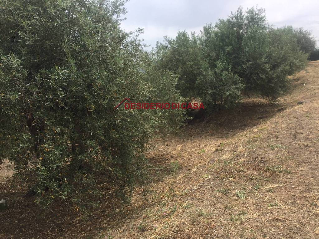 Terreno a Casteldaccia in Strada Grifeo - Foto 4