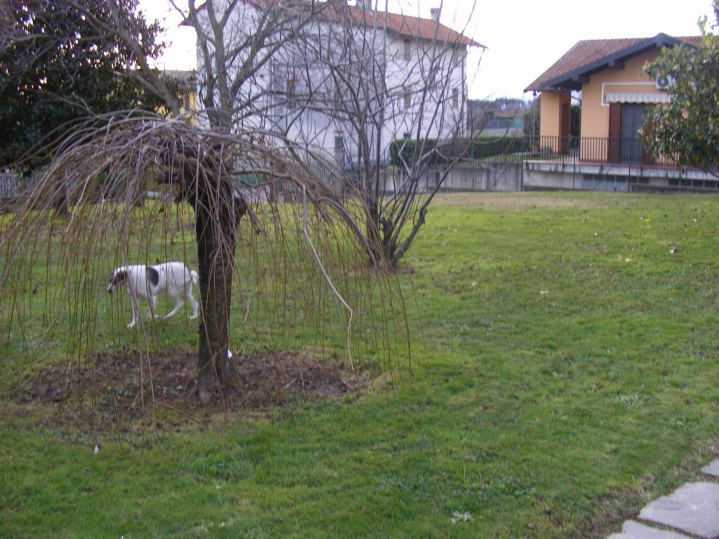 Villa a Divignano in Via 25 Aprile - Foto 3