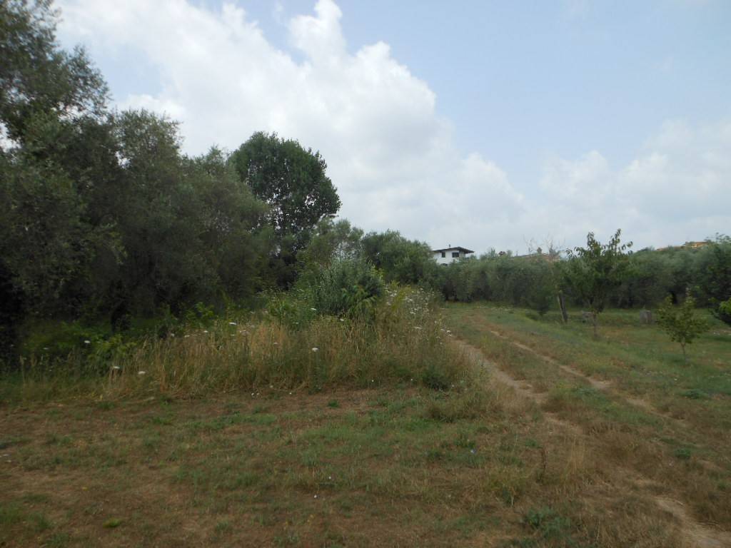 Terreno a Vairano patenora in Via Risorgimento - Foto 2