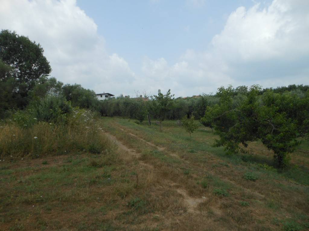 Terreno a Vairano patenora in Via Risorgimento - Foto 3