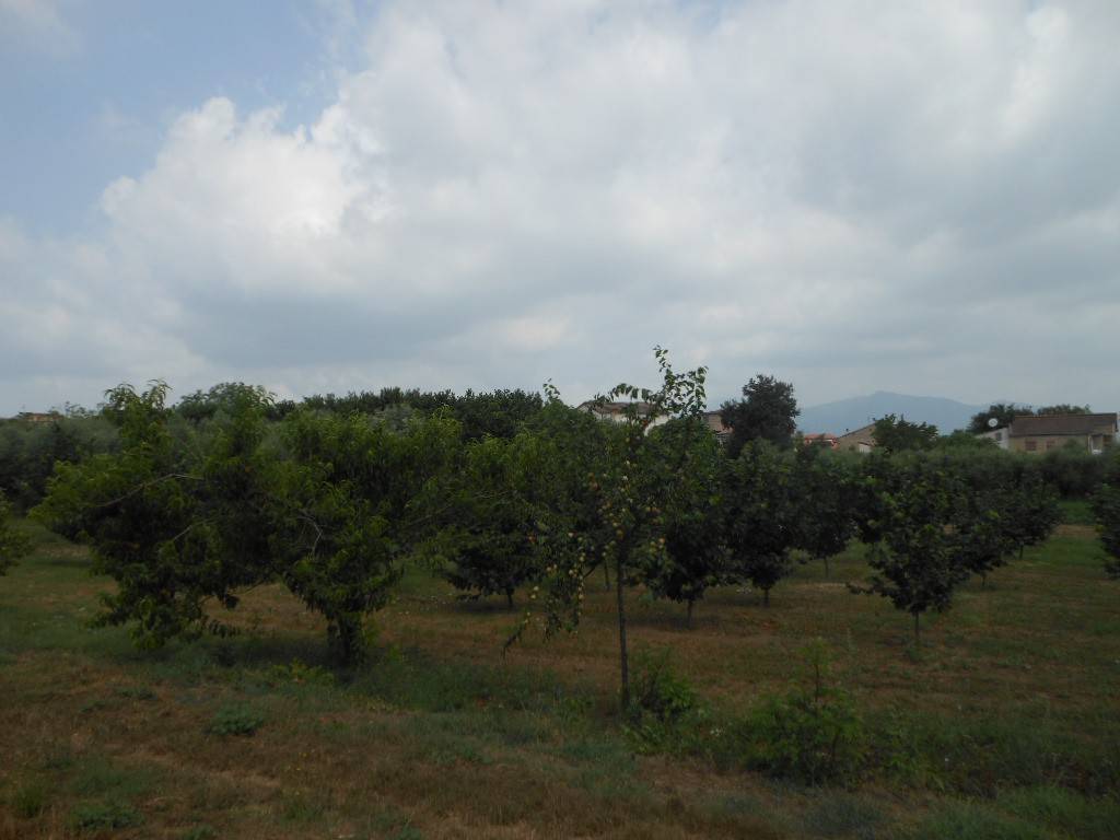 Terreno a Vairano patenora in Via Risorgimento - Foto 4