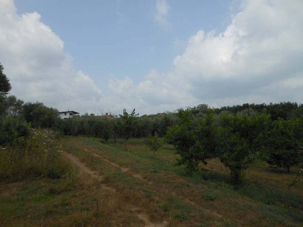 Terreno a Vairano patenora in Via Risorgimento - Foto 5