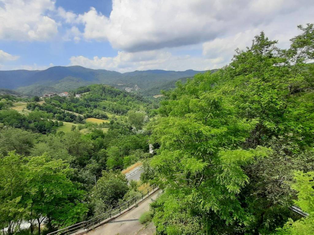 Appartamento a Cassinelle in Borgo Cartosi - Foto 2