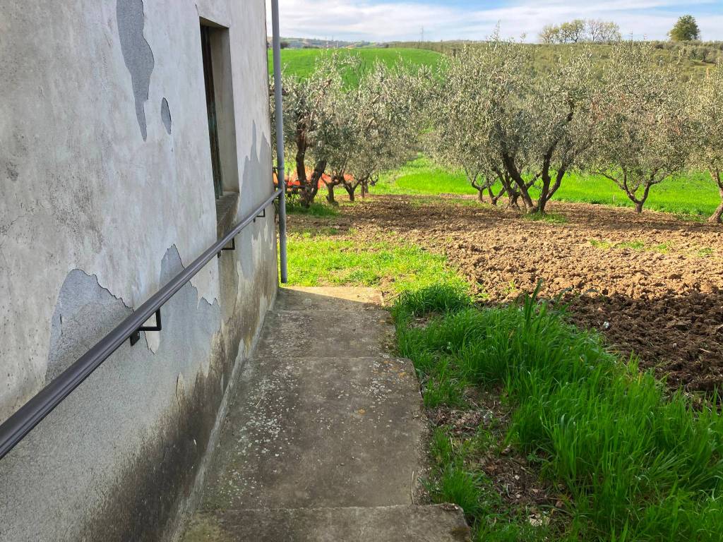 Terreno a Vasto in Contrada Piano di Marco - Foto 3