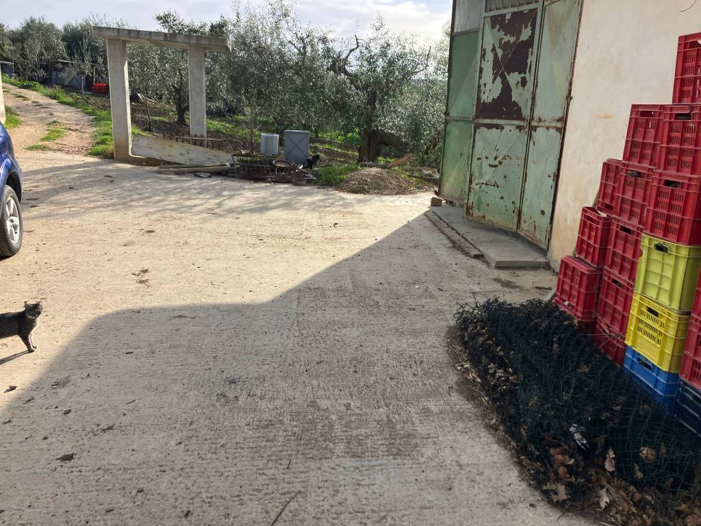 Terreno a Vasto in Contrada Piano di Marco - Foto 5