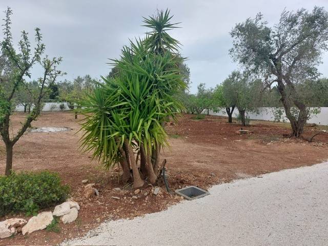 Villa a Carovigno - Foto 4