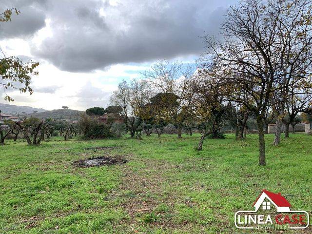 Terreno a Zagarolo in Via Cancellata Grande - Foto 2
