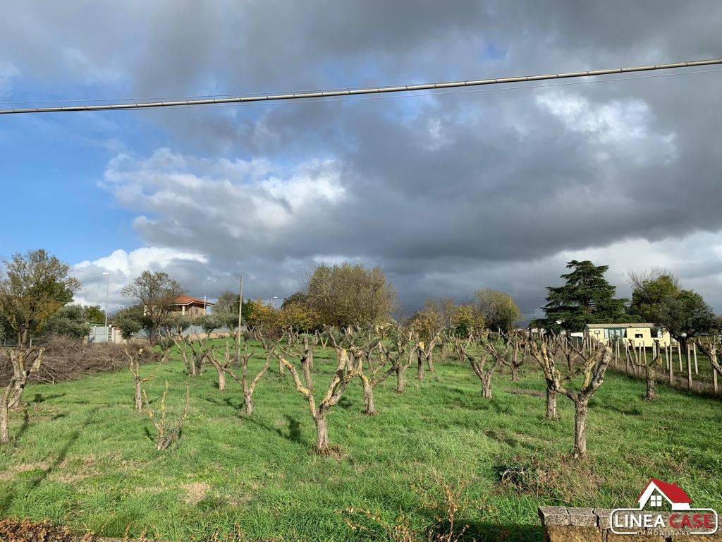 Terreno a Zagarolo in Via Cancellata Grande - Foto 3