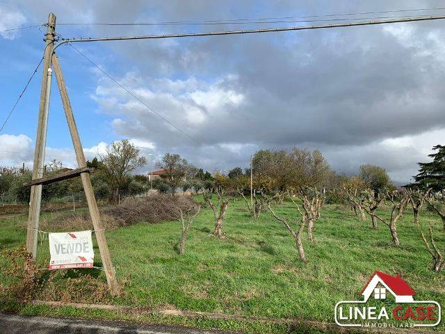 Terreno a Zagarolo in Via Cancellata Grande - Foto 4