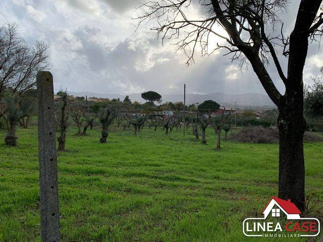 Terreno a Zagarolo in Via Cancellata Grande - Foto 5