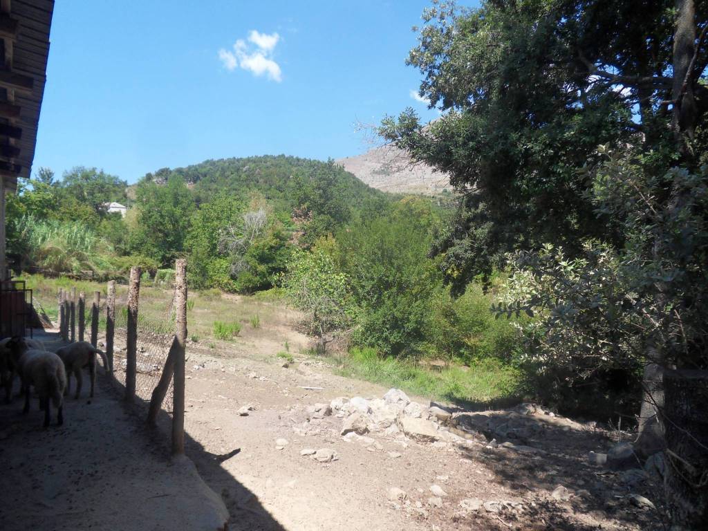 Rustico / casale a Maratea in Via Massa Varacia - Foto 4