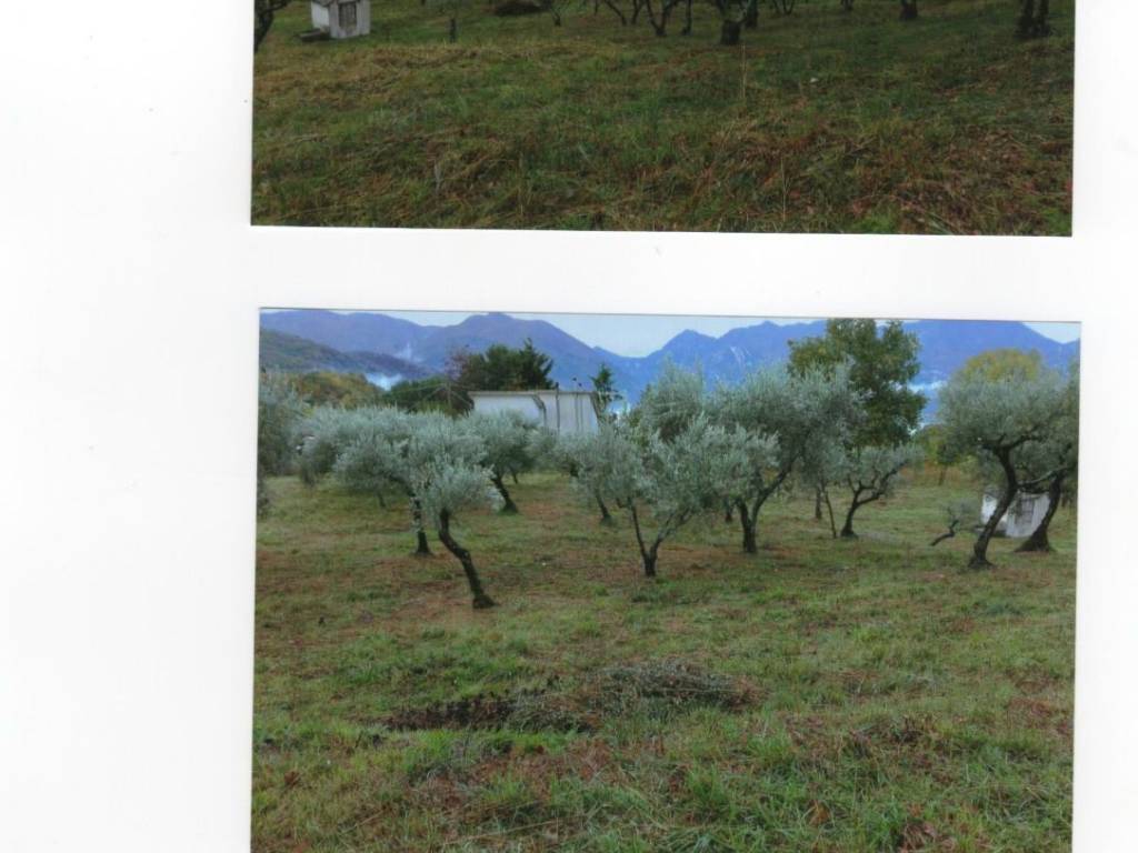 Terreno a Lauria in Contrada Capraro - Foto 2