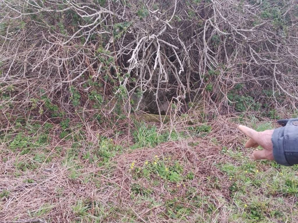 Terreno a Castri di lecce in Strada Comunale Castri Vernole - Foto 4