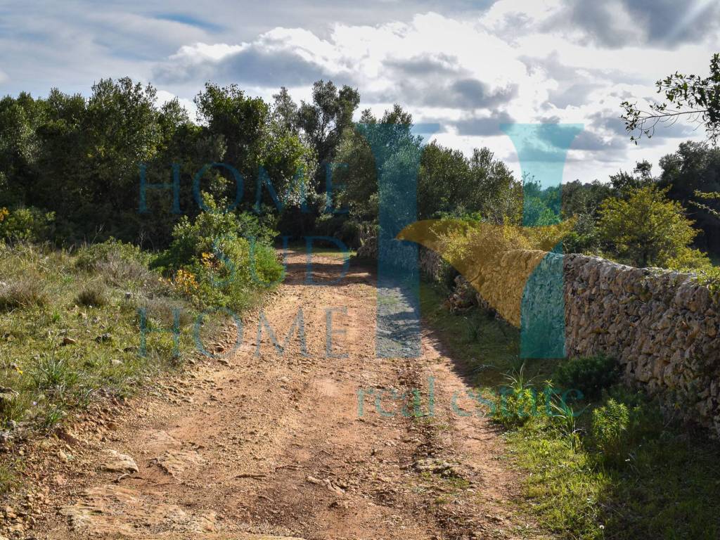 Rustico / casale a Noto - Foto 2