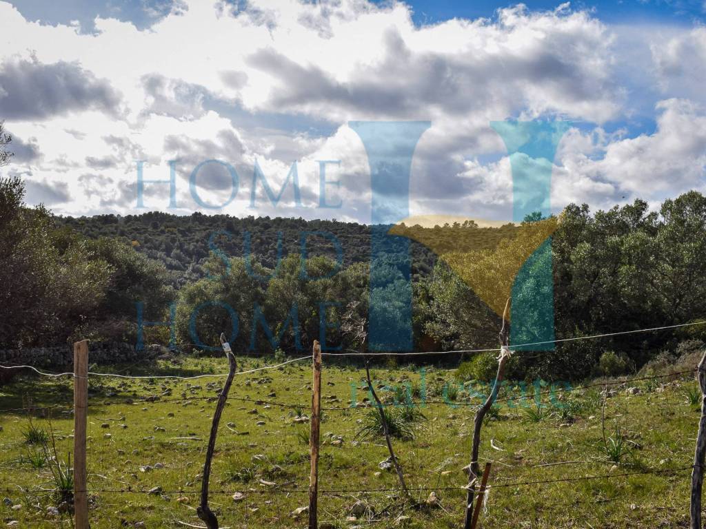 Rustico / casale a Noto - Foto 3