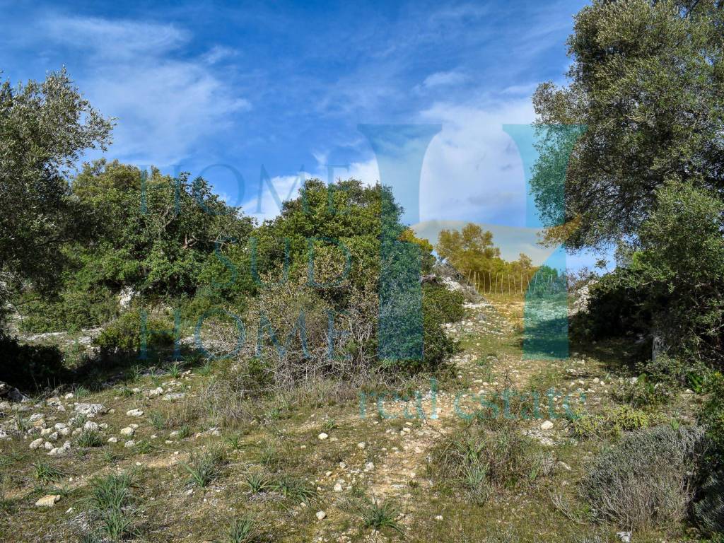 Rustico / casale a Noto - Foto 4