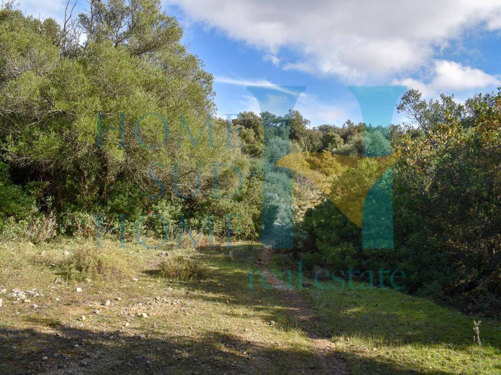 Rustico / casale a Noto - Foto 5