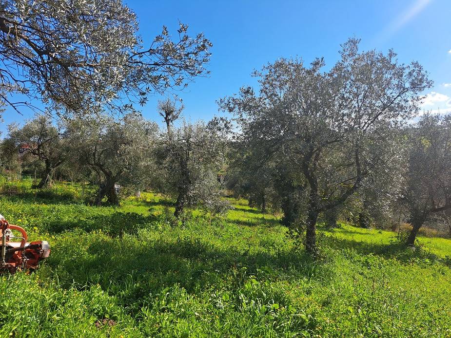 Casa indipendente a Ortona in Via Civiltà del Lavoro - Foto 4