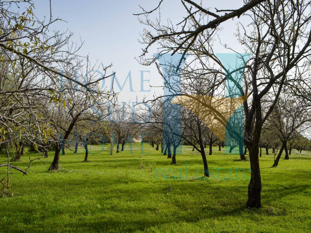 Terreno a Noto in Via Tommaso Fazello, 228 - Foto 4