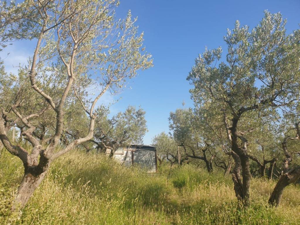 Terreno a Cavriglia in Via Chiantigiana - Foto 3