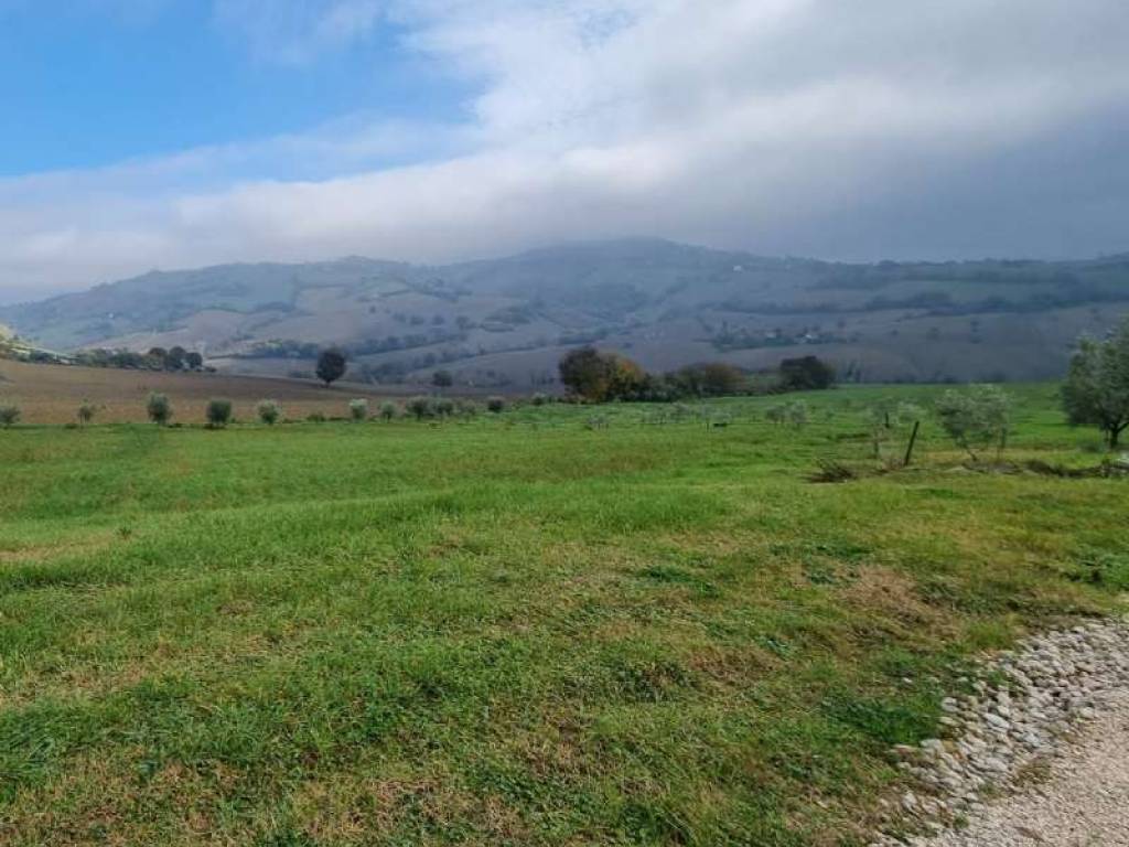 Terreno a Polverigi - Foto 2