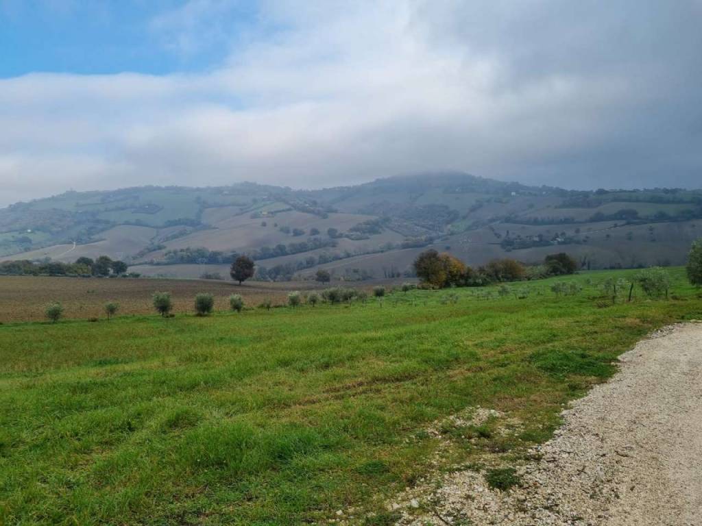 Terreno a Polverigi - Foto 3