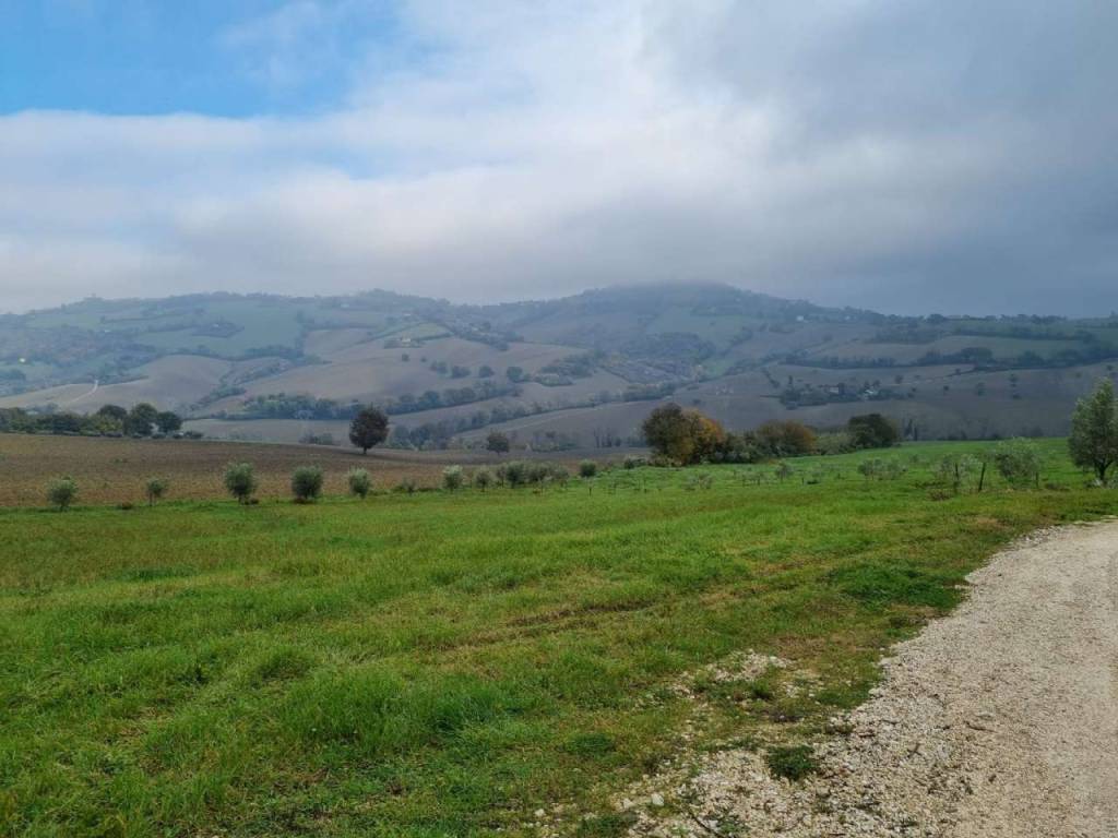 Terreno a Polverigi - Foto 4