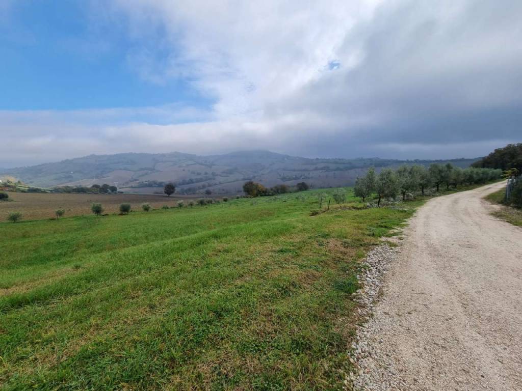 Terreno a Polverigi - Foto 5