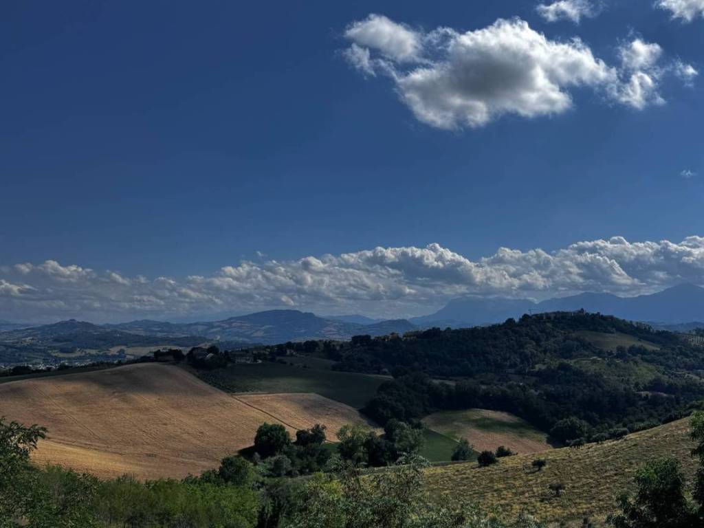 Appartamento a Monte vidon corrado in Borgo guglielmo Oberdan - Foto 4