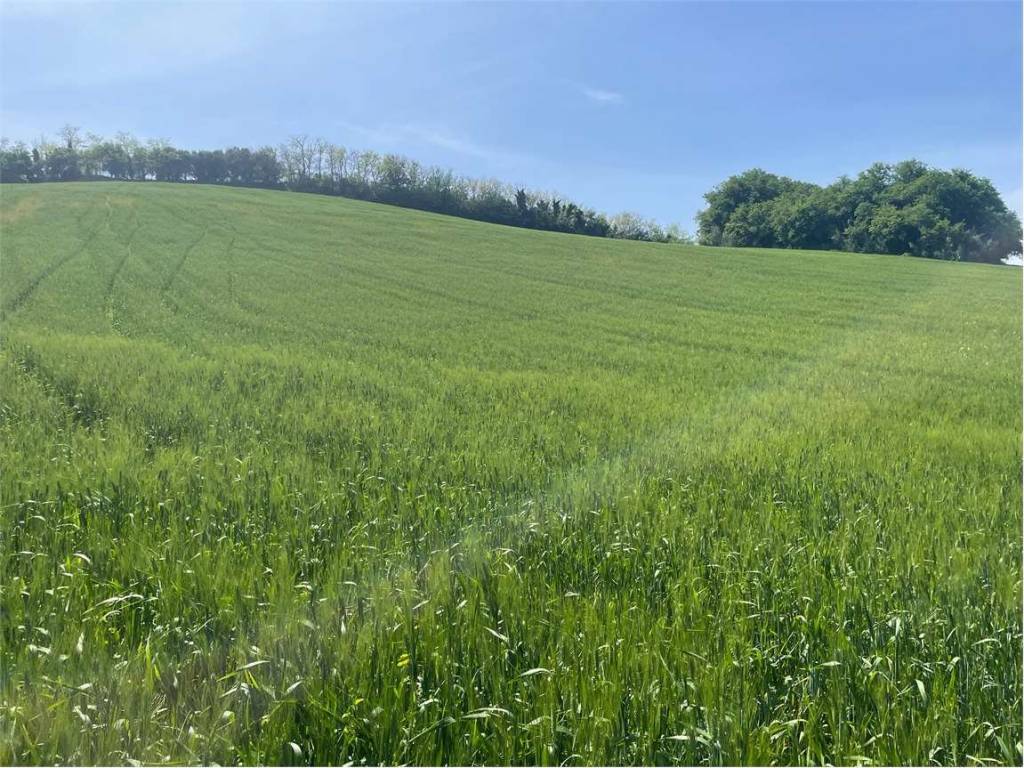 Terreno a Ancona in STRADA aspio, snc - Foto 4