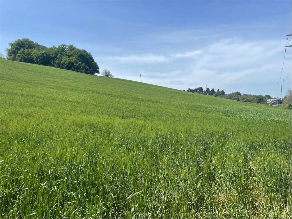 Terreno a Ancona in STRADA aspio, snc - Foto 5
