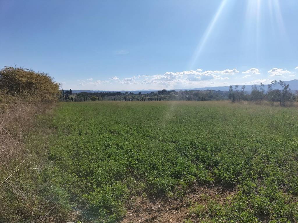 Rustico / casale a Penna in teverina in Località Grottoni - Foto 2