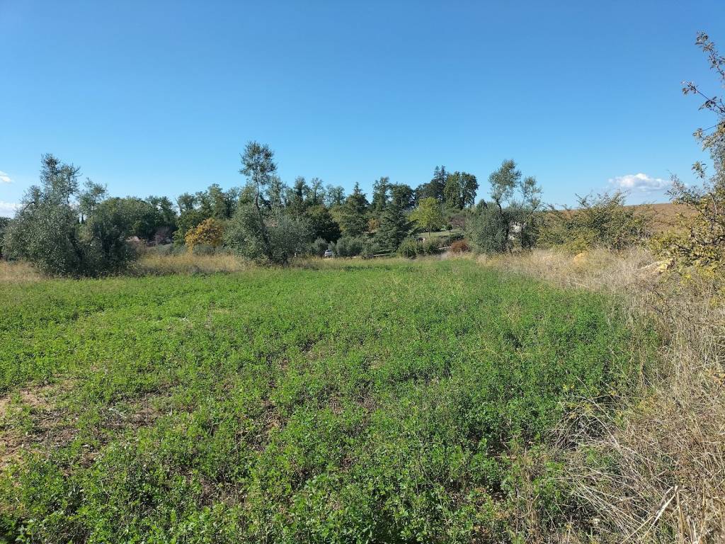 Rustico / casale a Penna in teverina in Località Grottoni - Foto 3