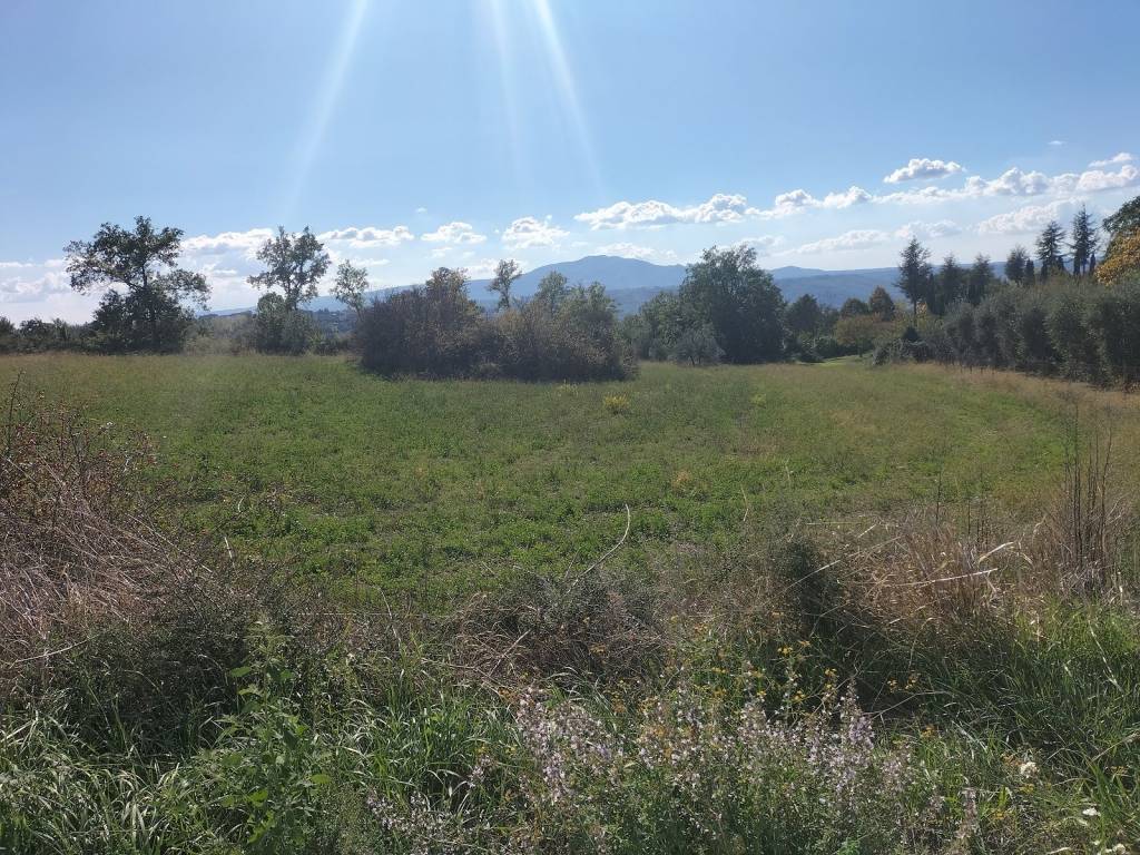 Rustico / casale a Penna in teverina in Località Grottoni - Foto 4
