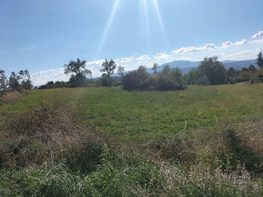 Rustico / casale a Penna in teverina in Località Grottoni - Foto 5