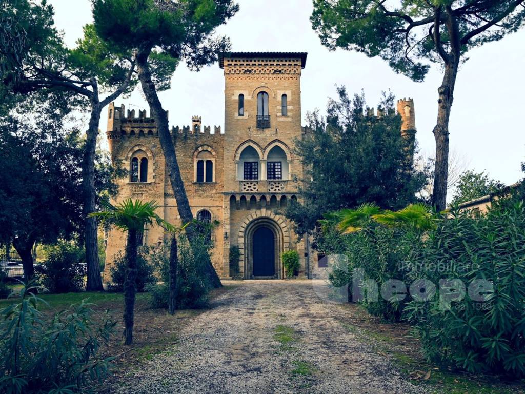 immagine di copertina